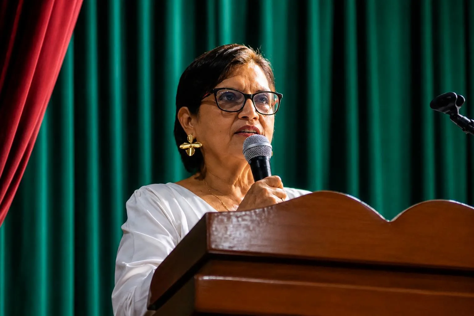 Directora de la Dirección de Proyección Social y Extensión Cultural