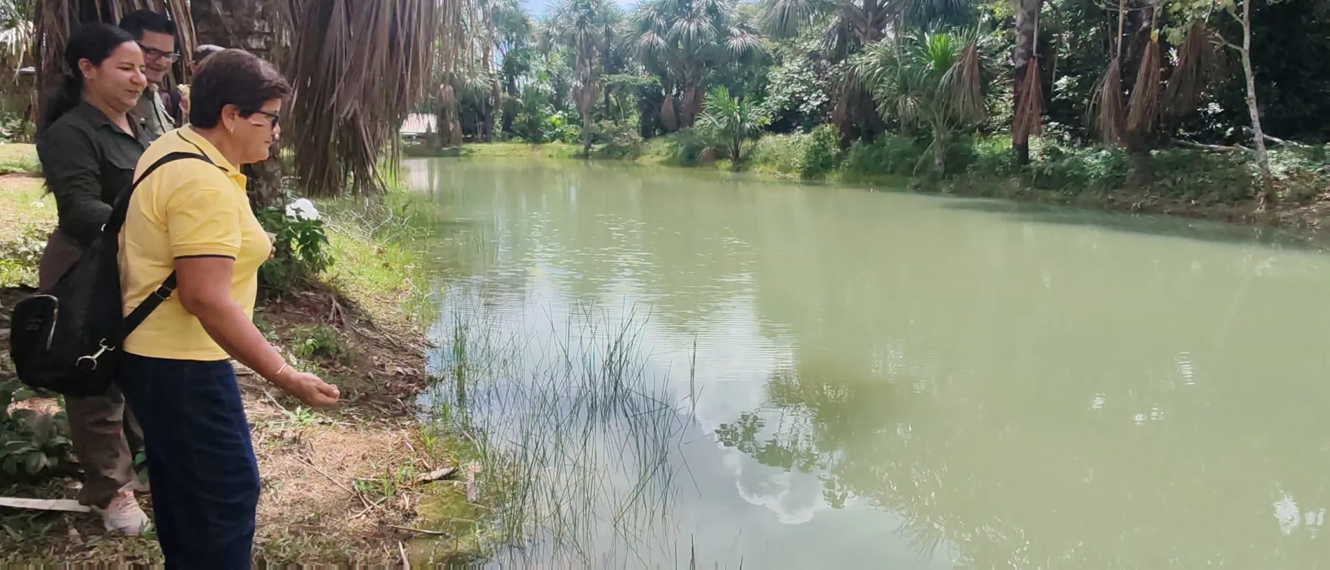 ESTUDIANTES DE LA UNAP INVESTIGAN CRIANZA DEL CAMARÓN GIGANTE DE MALASIA COMO ALTERNATIVA PARA DIVERSIFICAR LA ACUICULTURA EN EL DATEM DEL MARAÑÓN