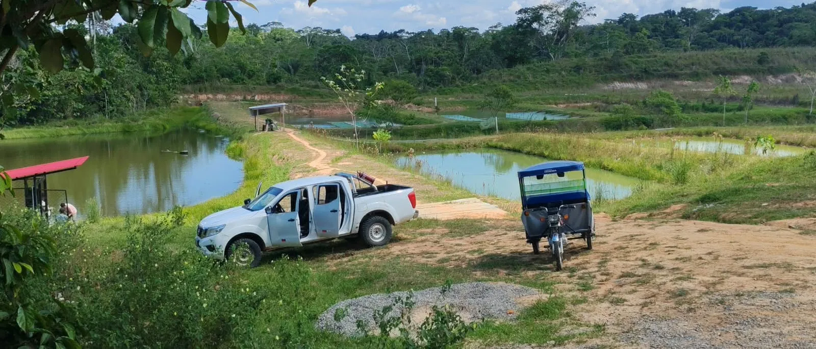FACULTAD DE CIENCIAS BIOLÓGICAS DE LA UNAP REALIZA VISITA DE TRABAJO A INFRAESTRUCTURA ACUÍCOLA EN YURIMAGUAS PARA IMPULSAR FUTURO CENTRO DE INVESTIGACIÓN Y PRODUCCIÓN