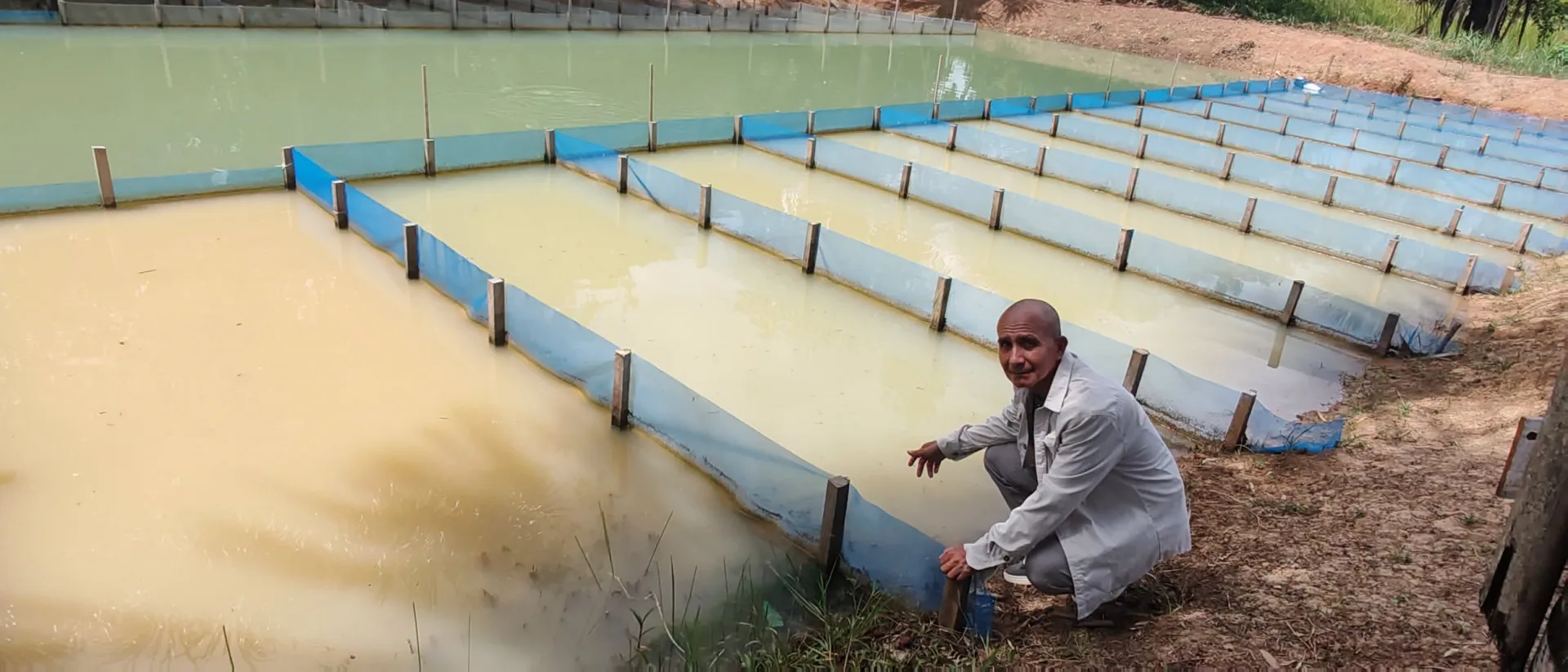 ESTUDIANTES DE LA UNAP INVESTIGAN CRIANZA DEL CAMARÓN GIGANTE DE MALASIA COMO ALTERNATIVA PARA DIVERSIFICAR LA ACUICULTURA EN EL DATEM DEL MARAÑÓN
