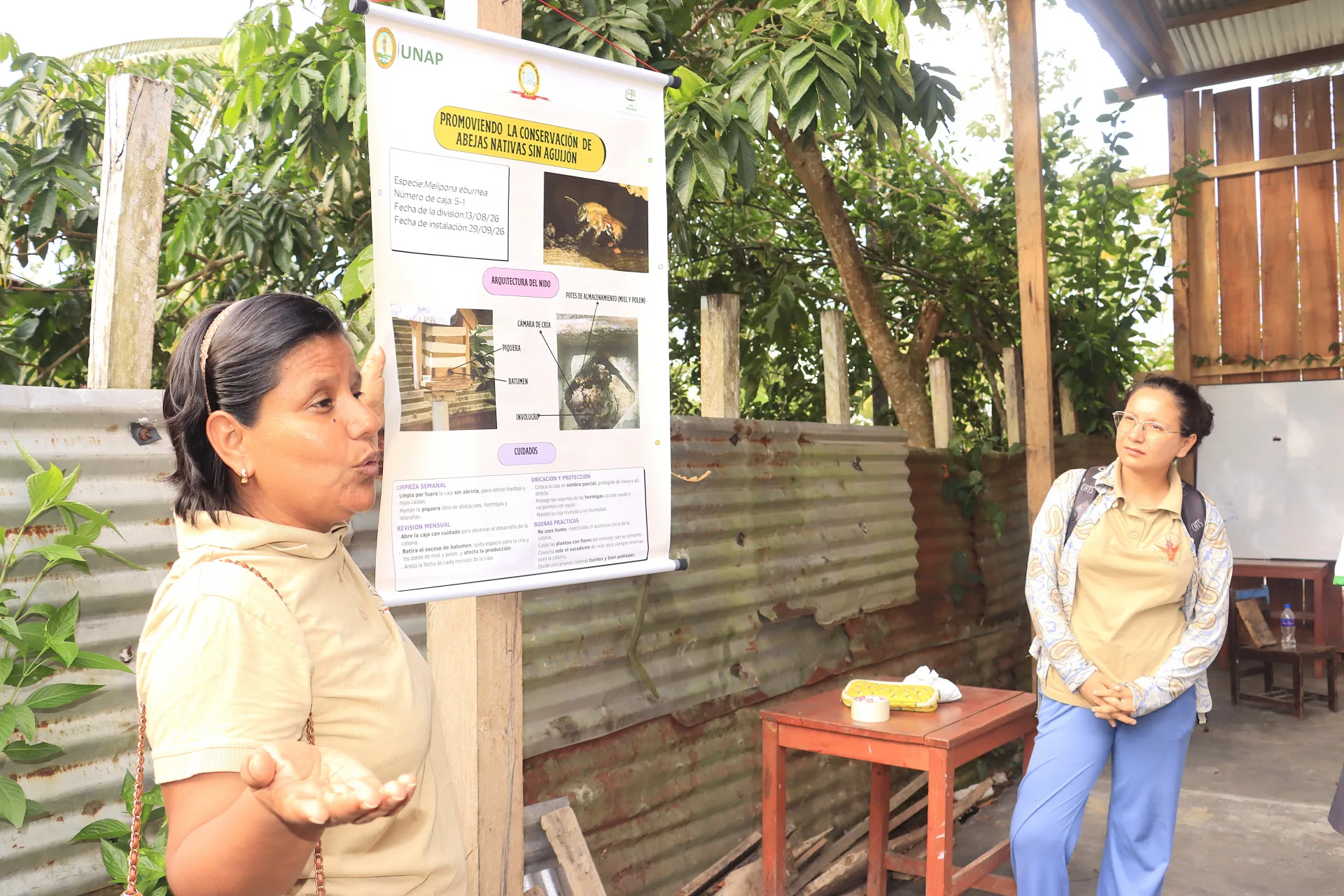 UNAP Y ONG ARCA BETA PROMUEVEN LA CONSERVACIÓN DE ABEJAS NATIVAS SIN AGUIJÓN EN INSTITUCIÓN EDUCATIVA DE MANACAMIRI