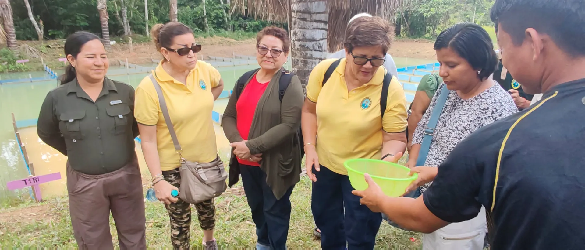 ESTUDIANTES DE LA UNAP INVESTIGAN CRIANZA DEL CAMARÓN GIGANTE DE MALASIA COMO ALTERNATIVA PARA DIVERSIFICAR LA ACUICULTURA EN EL DATEM DEL MARAÑÓN