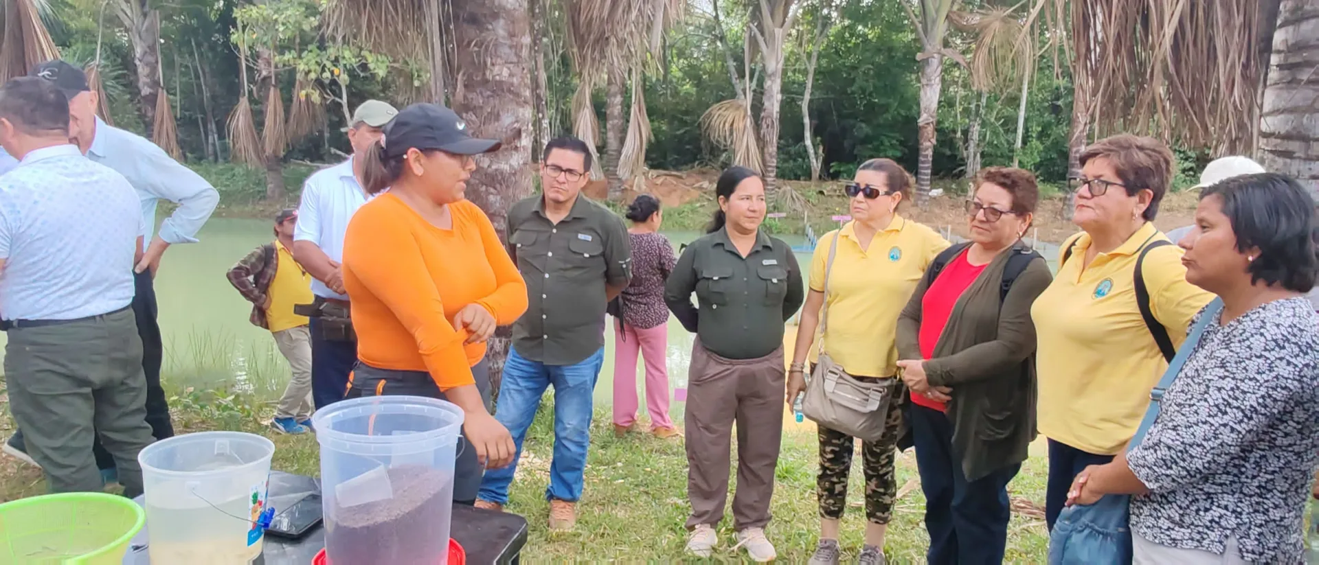 ESTUDIANTES DE LA UNAP INVESTIGAN CRIANZA DEL CAMARÓN GIGANTE DE MALASIA COMO ALTERNATIVA PARA DIVERSIFICAR LA ACUICULTURA EN EL DATEM DEL MARAÑÓN