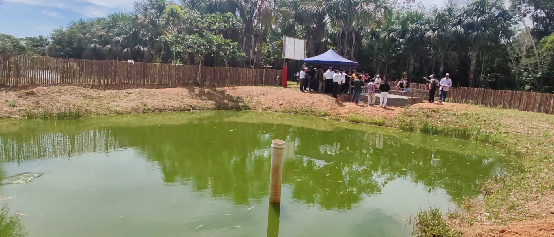 DELEGACIÓN DE LA UNAP PARTICIPA EN ECLOSIÓN DE CRÍAS DE TARICAYA EN PROYECTO DE CONSERVACIÓN EN EL DATEM DEL MARAÑÓN