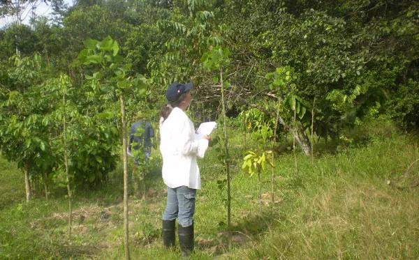 Rol de la UNAP en la conservación del bosque húmedo tropical