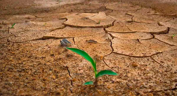 Mitigación y adaptación al cambio climático: una cuestión de vida o muerte