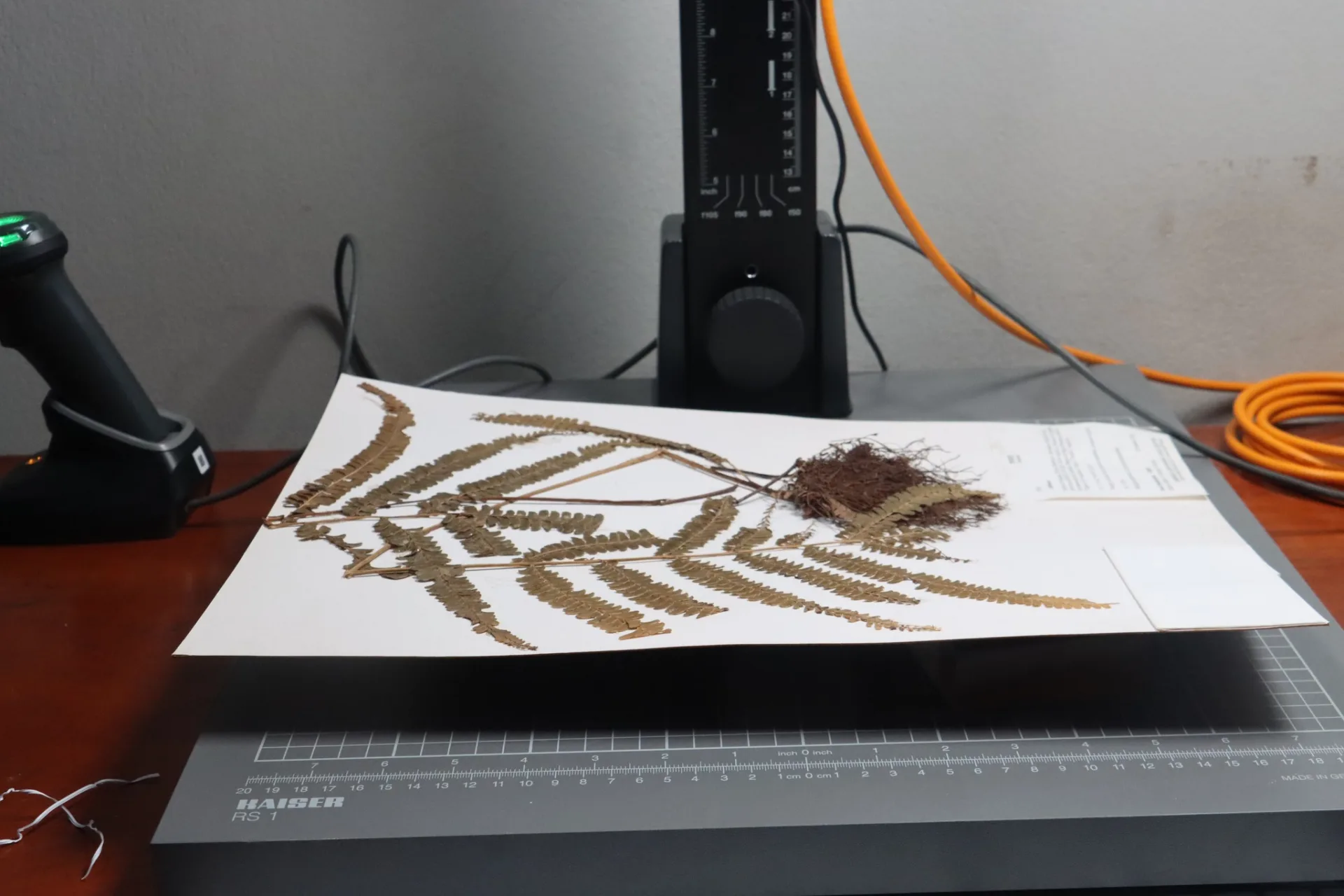 La UNAP en acuerdo vinculante con Shacra S.A. para digitalizar las muestras del Herbarium Amazonense (AMAZ)