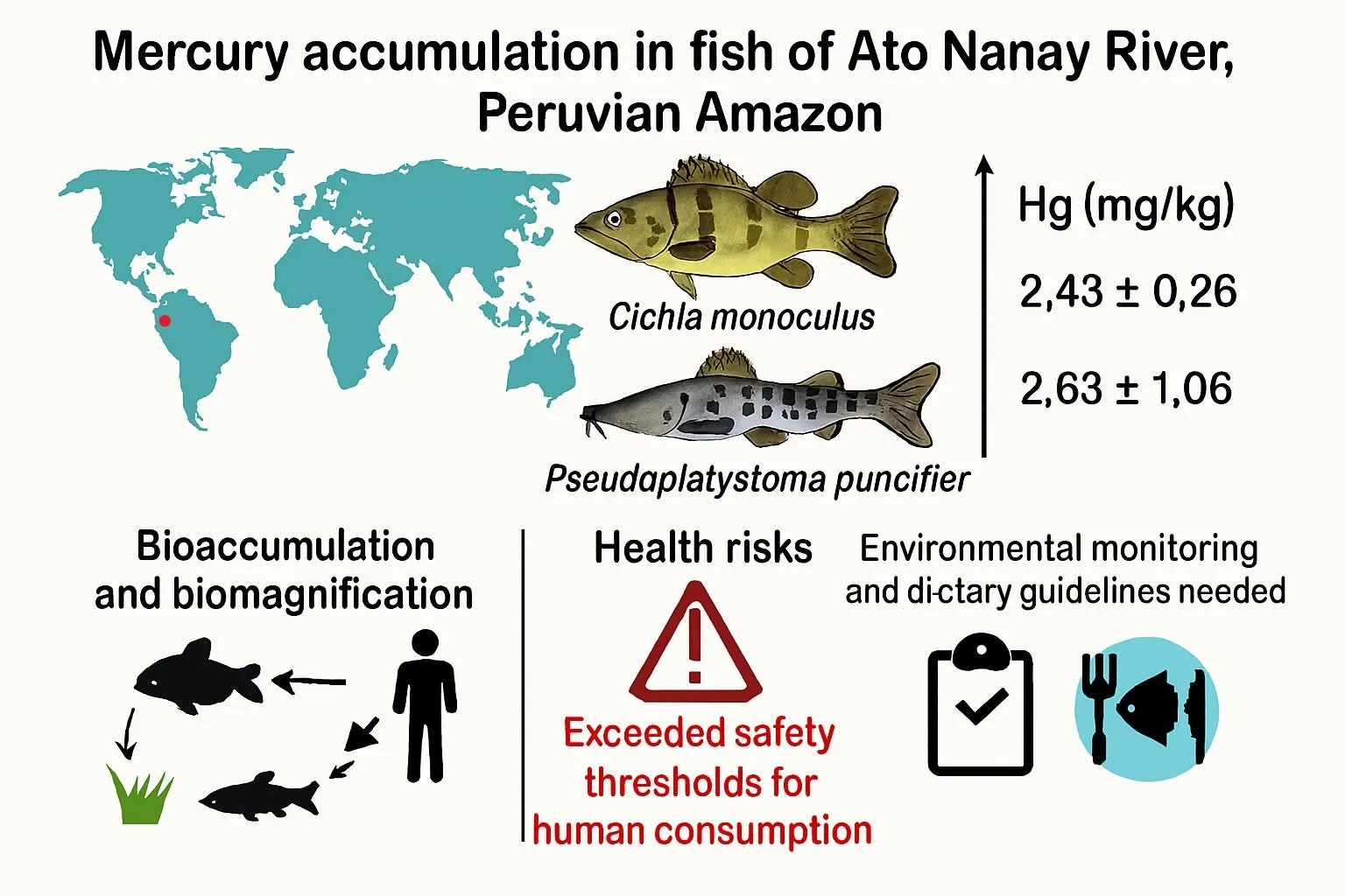 La UNAP realiza importante investigación sobre contaminación de peces con mercurio en el río Nanay
