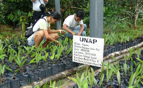 Rol de la UNAP en la conservación del bosque húmedo tropical