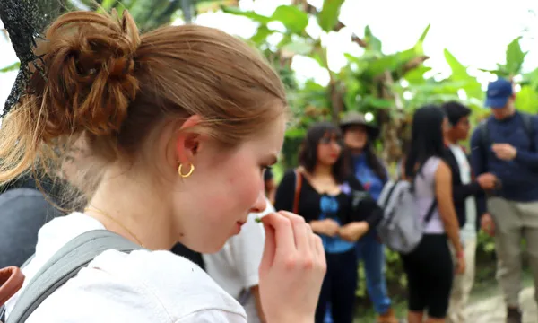 Estudiantes franceses visitan la UNAP como parte del Proyecto Colibrí-CREA