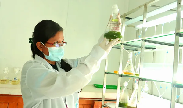 Becarias de la UNAP lideran proyectos de investigación ambiental