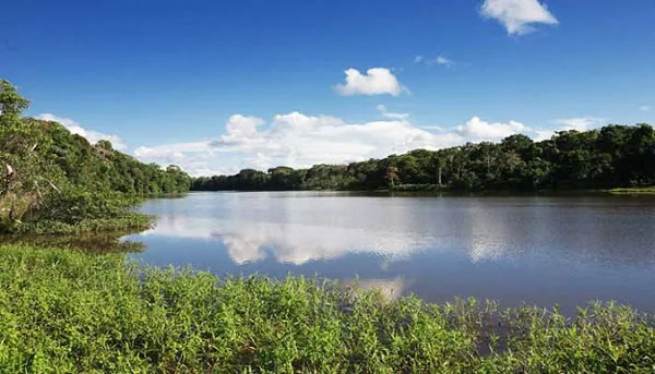 Día Mundial del Agua