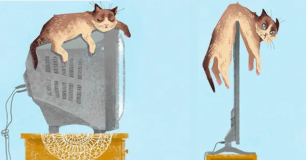 ¡Cómo cambió la vida!