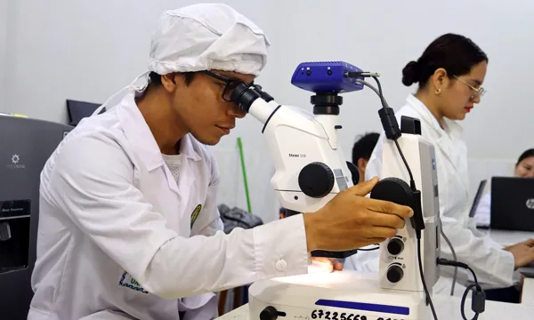 Proyecto de investigación en la UNAP revela contaminación por microplásticos en peces