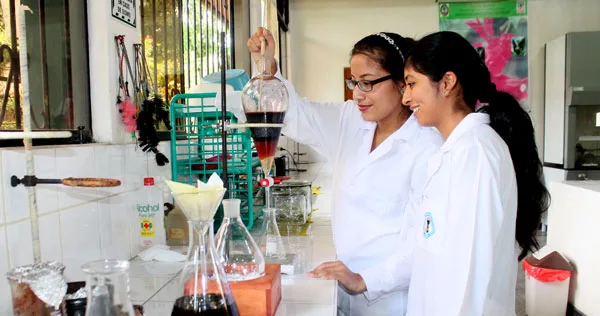 La formación en la investigación universitaria