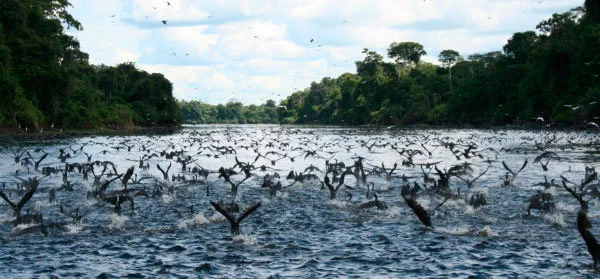Día Mundial del Agua